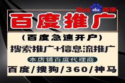 SEM推广公司案例：打造行业领军品牌